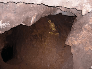 Apparently many people living in Somerset today share DNA with Cheddar Man who lived there 11,000 years ago