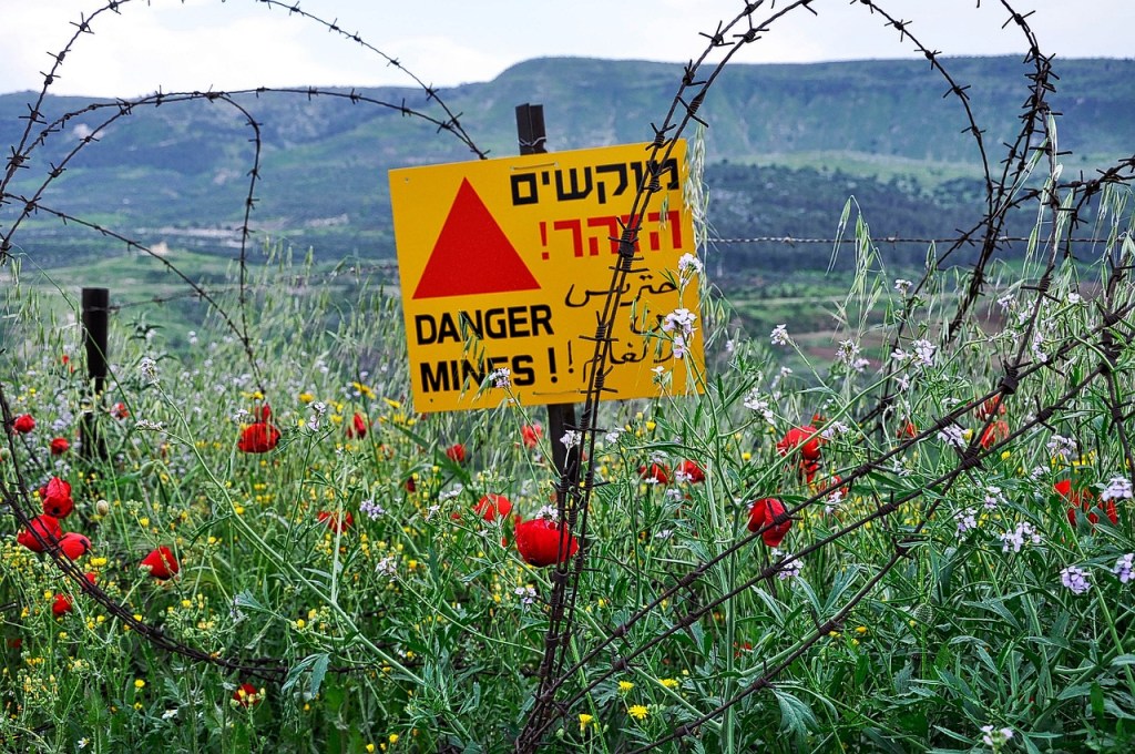 field of poppies with a mine-warning notice